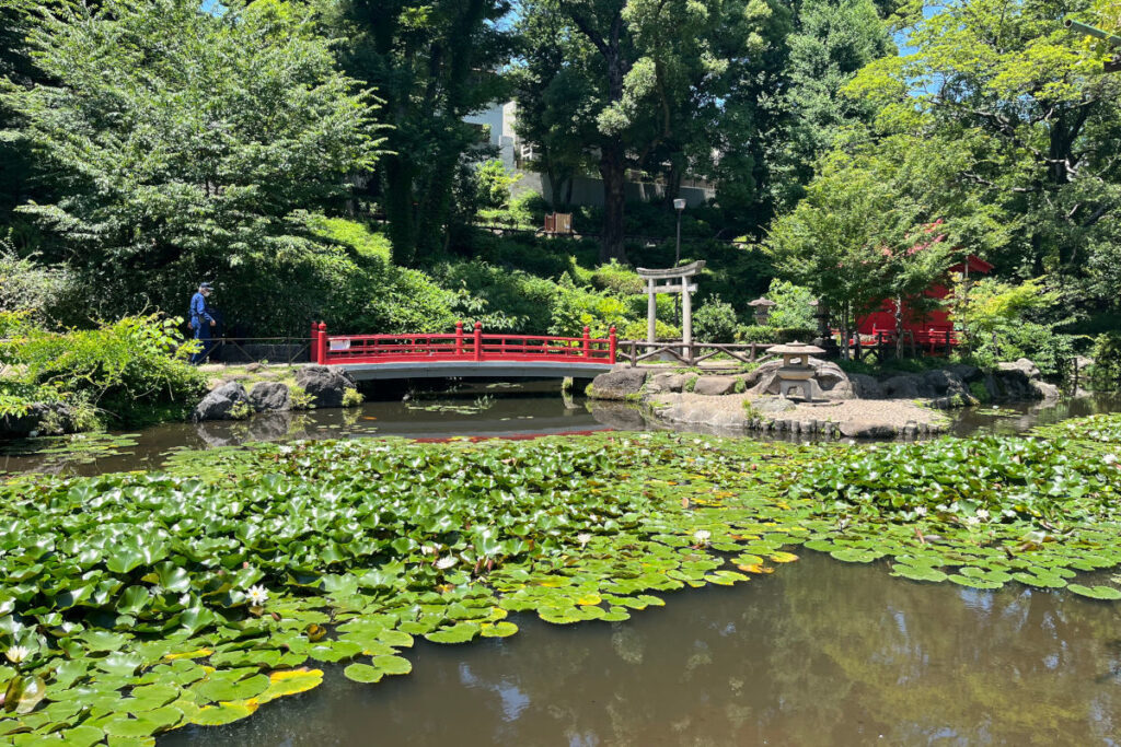 須藤公園