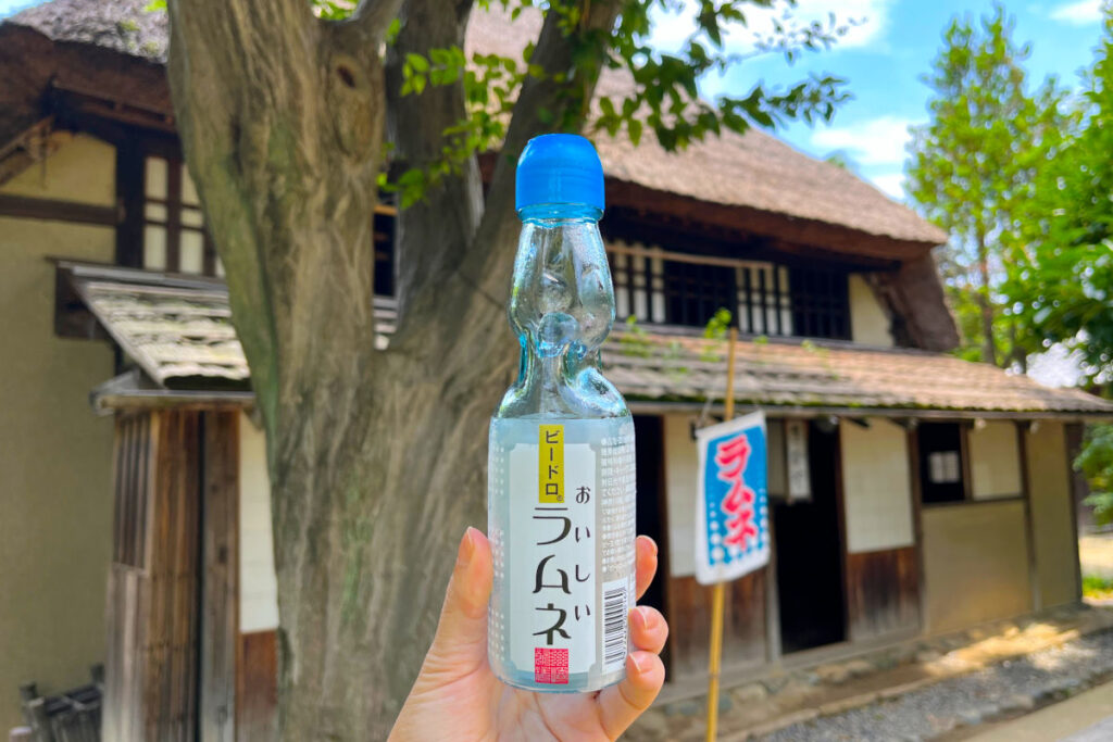 次大夫堀公園民家園