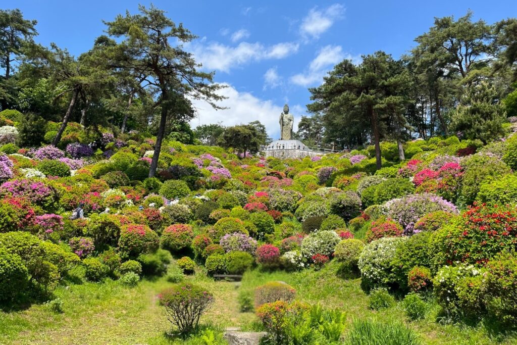 塩船観音寺のつつじ