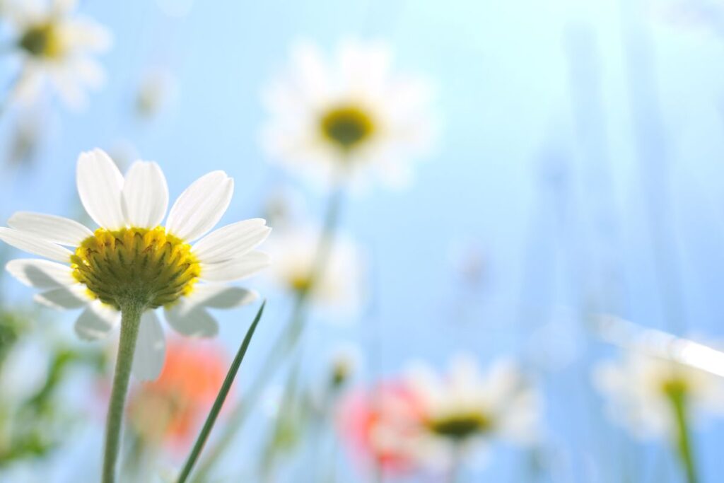 「最近いいことないなぁ」と感じているときに試したい簡単な3つのこと