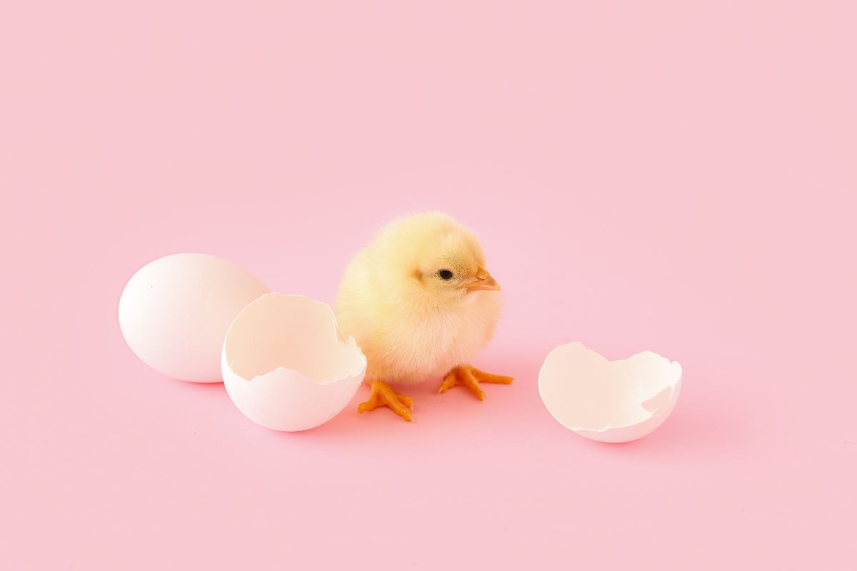 自分の小さな殻を破った話