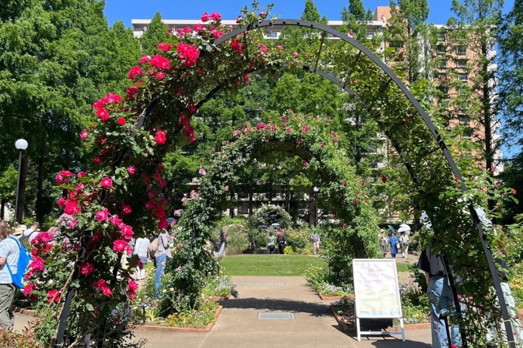 四季の香ローズガーデン(光が丘)