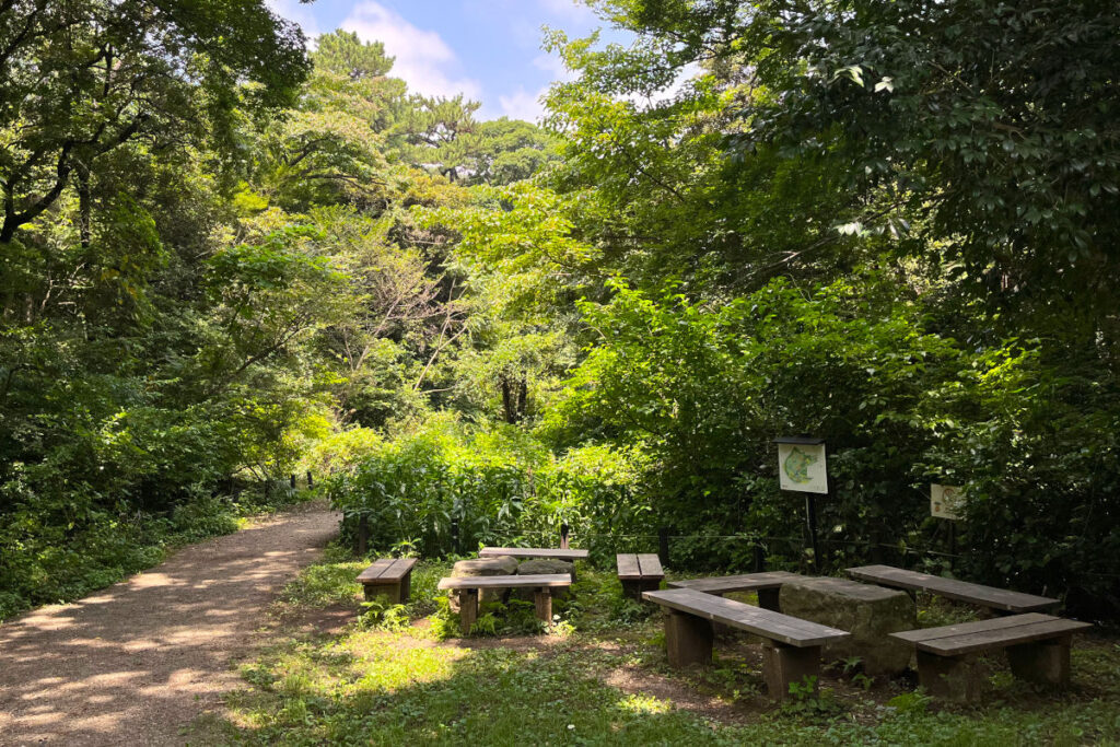 自然教育園