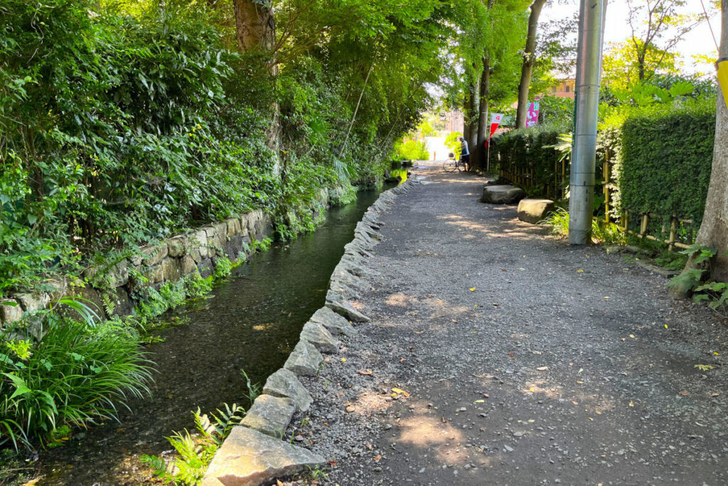 お鷹の道・真姿の池湧水群