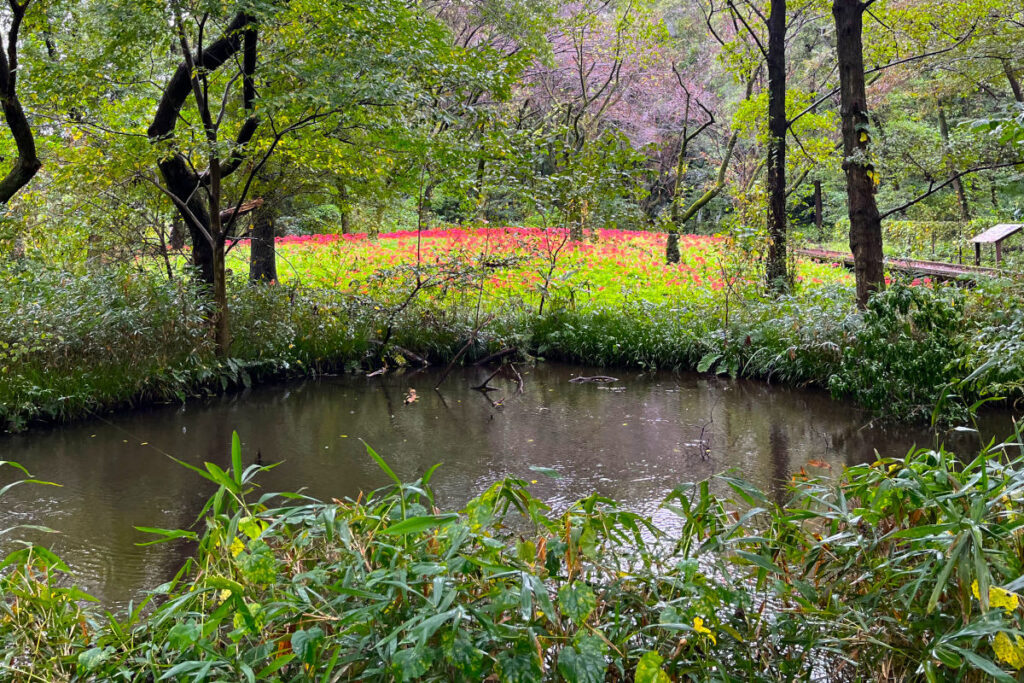 野川公園