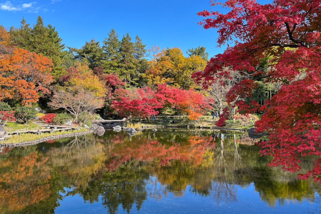 昭和記念公園 日本庭園