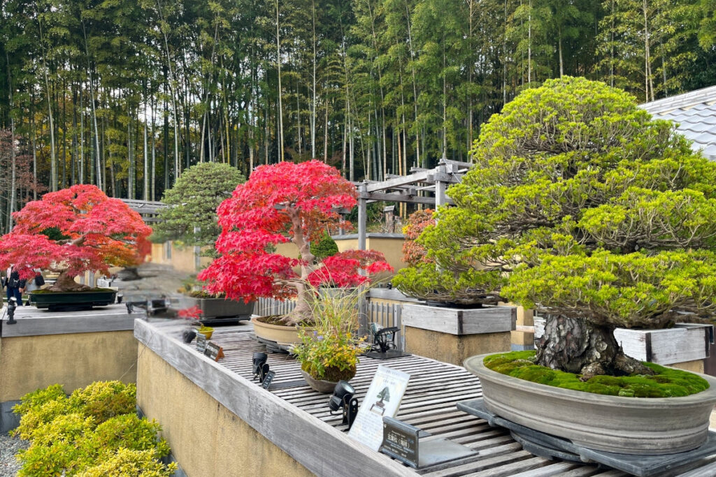 昭和記念公園 日本庭園