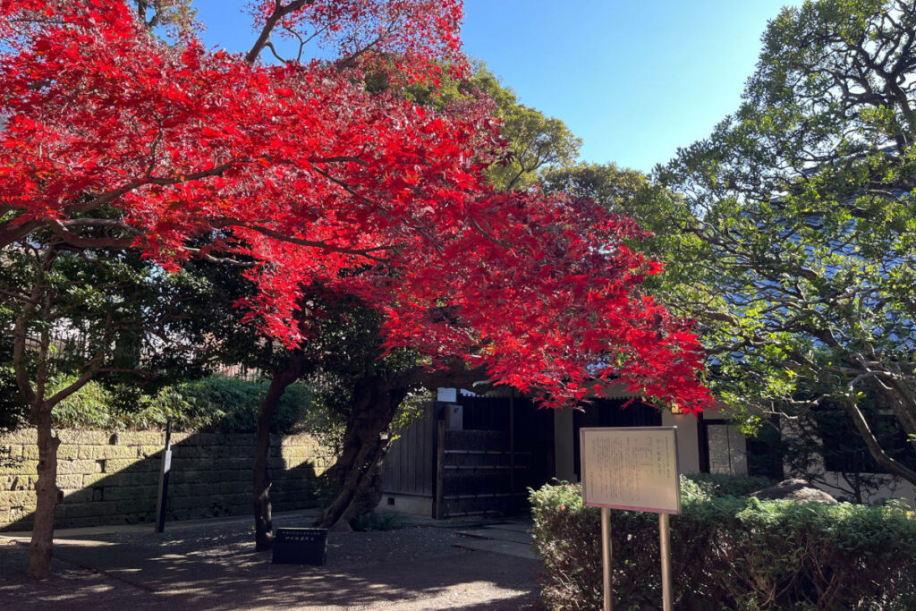 瀬田四丁目旧小坂緑地