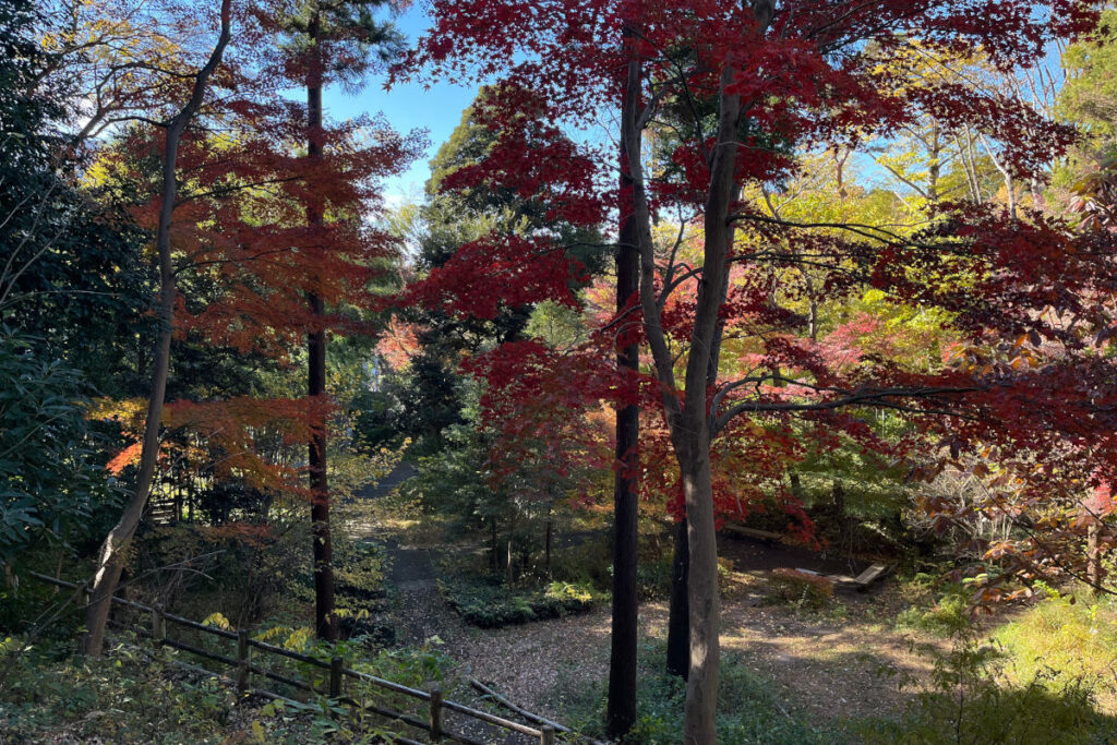 瀬田四丁目旧小坂緑地