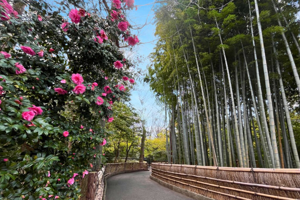 観泉寺