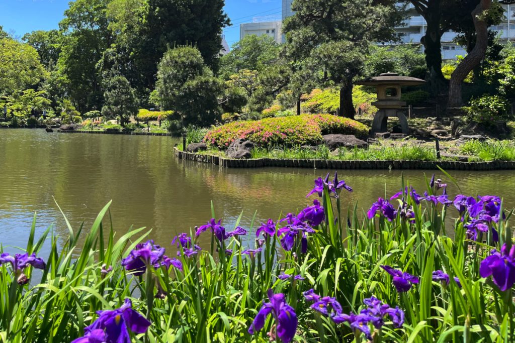 肥後細川庭園