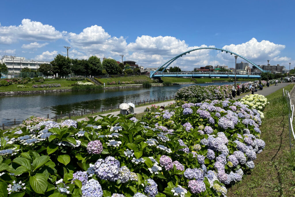 旧中川水辺公園
