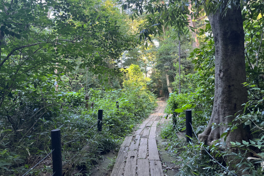 駒場野公園