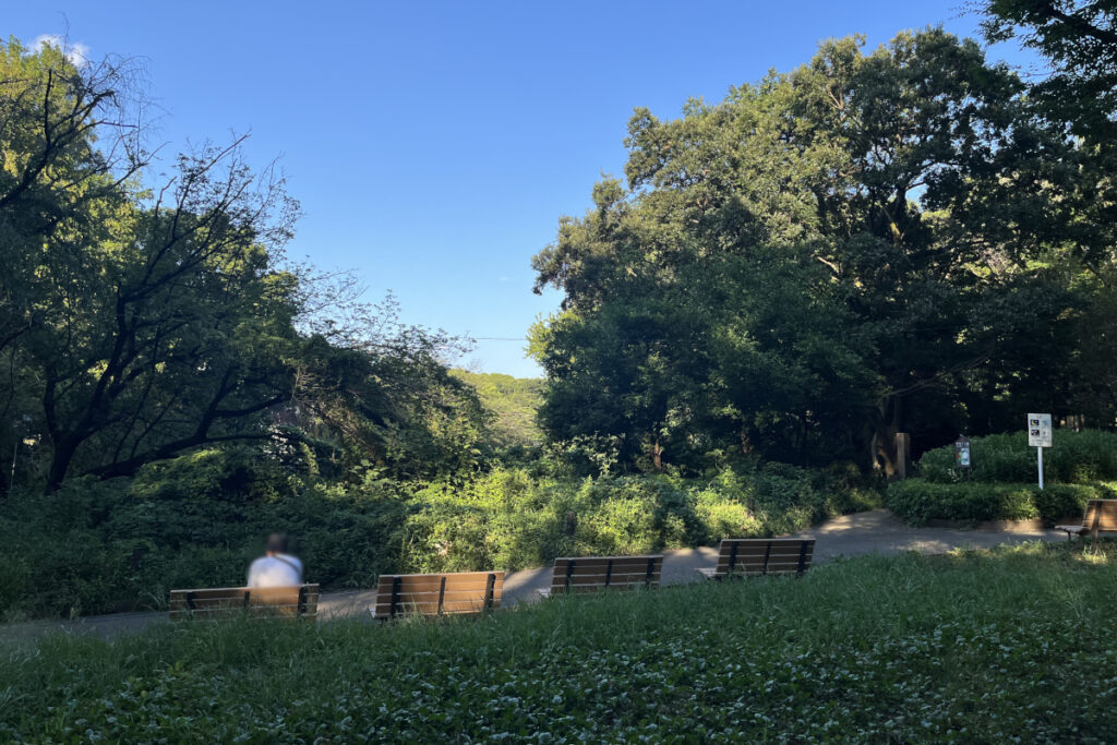 駒場野公園