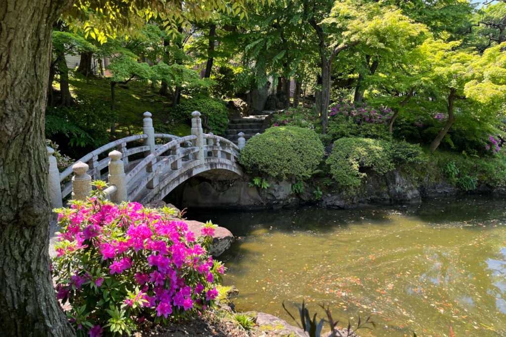 旧安田庭園