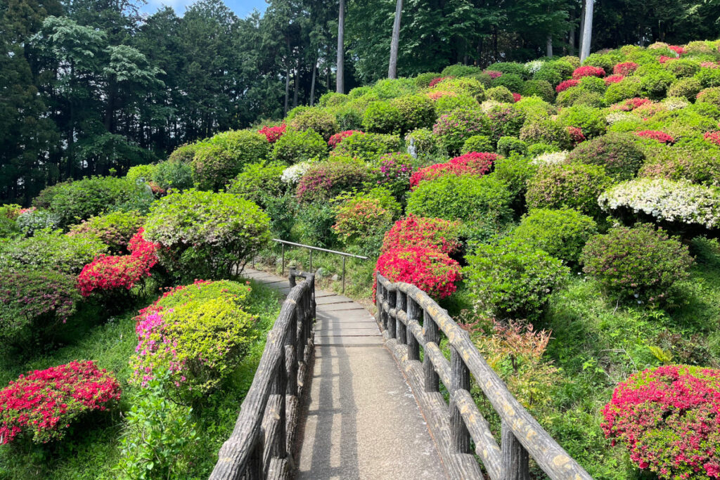 青梅市「薬王寺」
