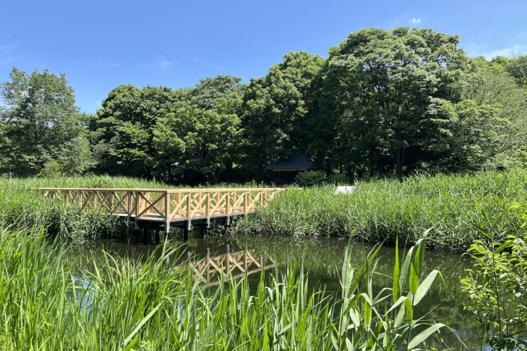神代植物公園 水生植物園