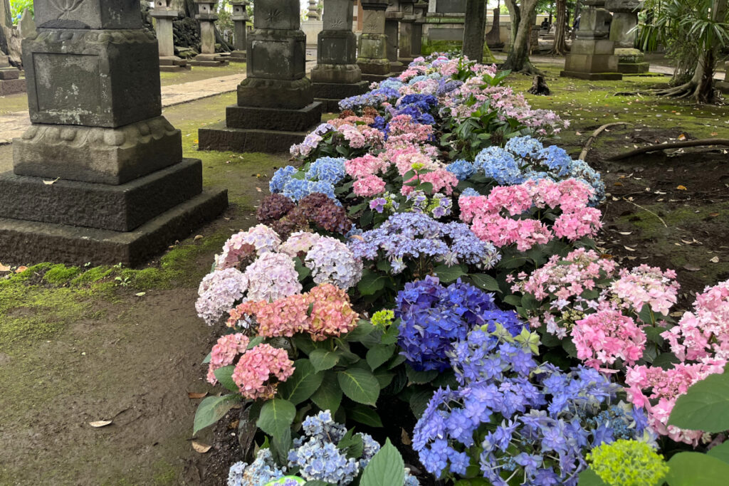長命寺