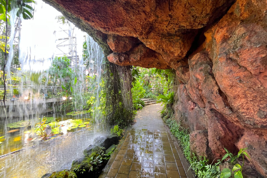 夢の島熱帯植物館