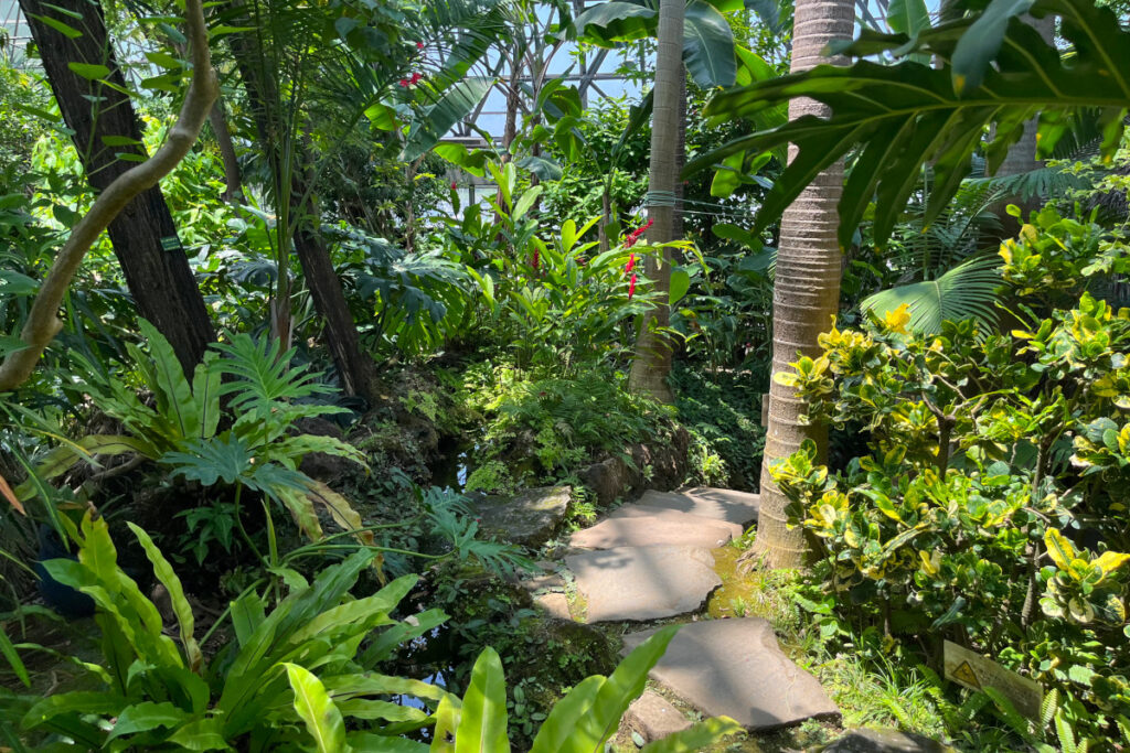 夢の島熱帯植物館