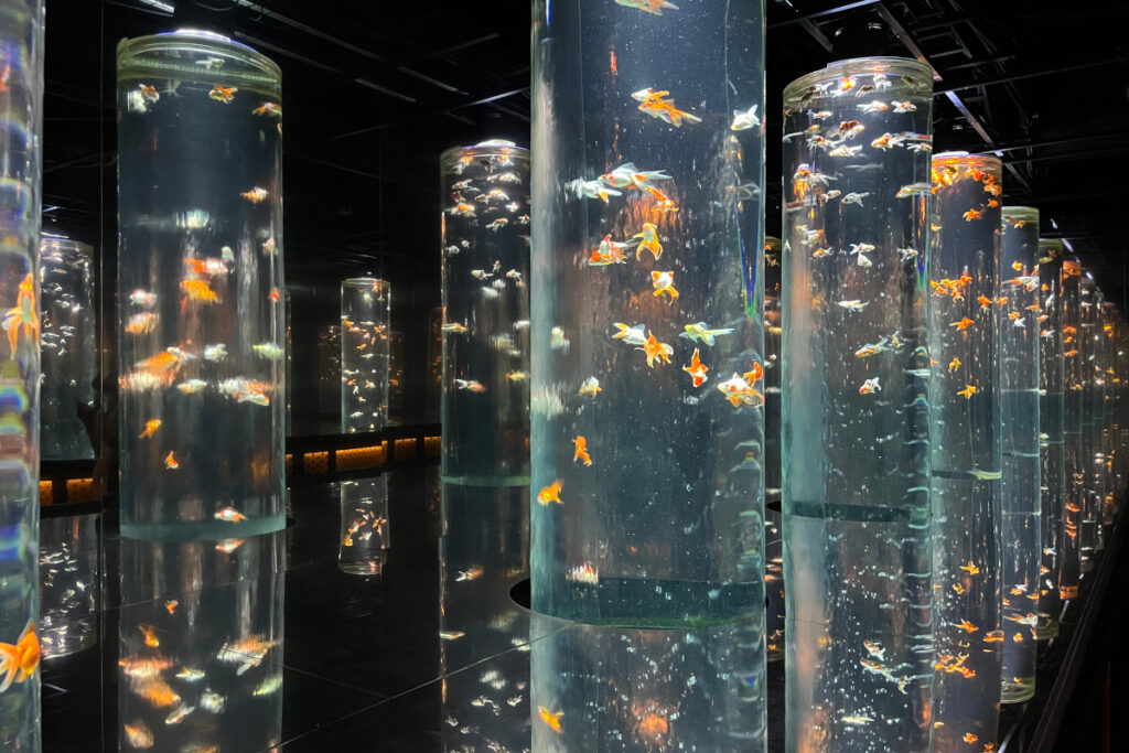 アートアクアリウム美術館GINZA