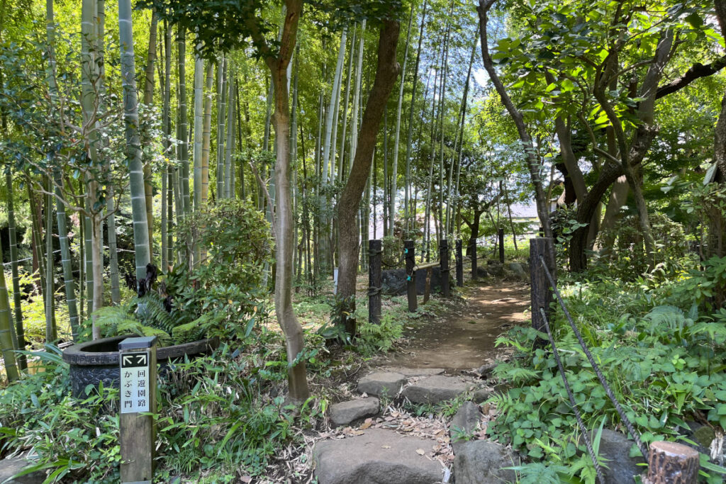 等々力渓谷日本庭園の竹林