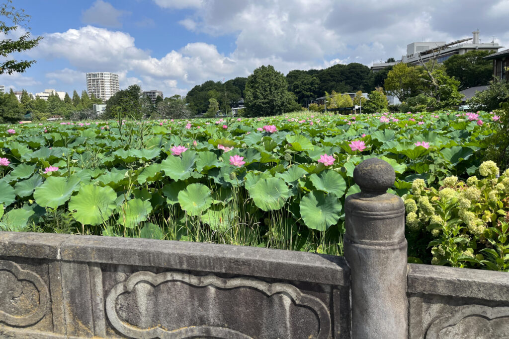 不忍弁天堂へつづく石橋