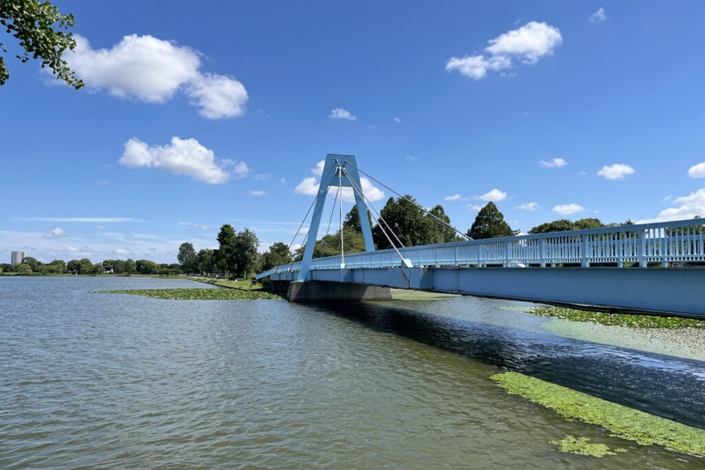 水元大橋