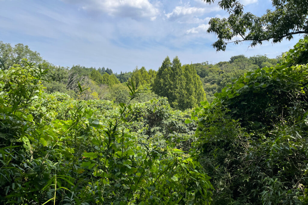 生田緑地