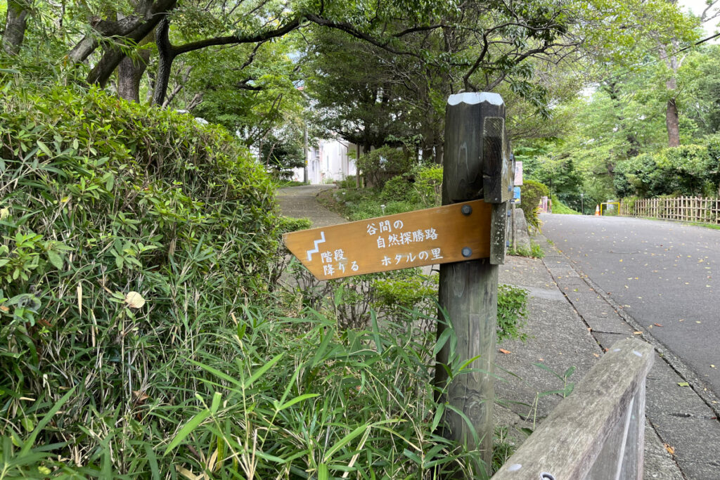 生田緑地