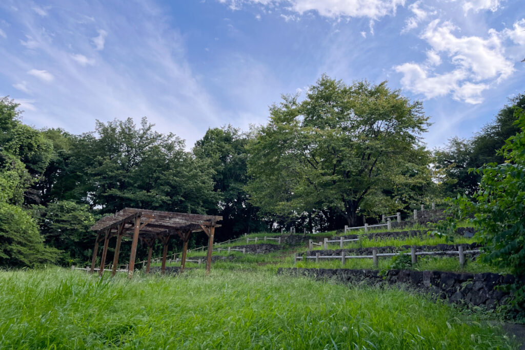 生田緑地 思い出のうたのこみち