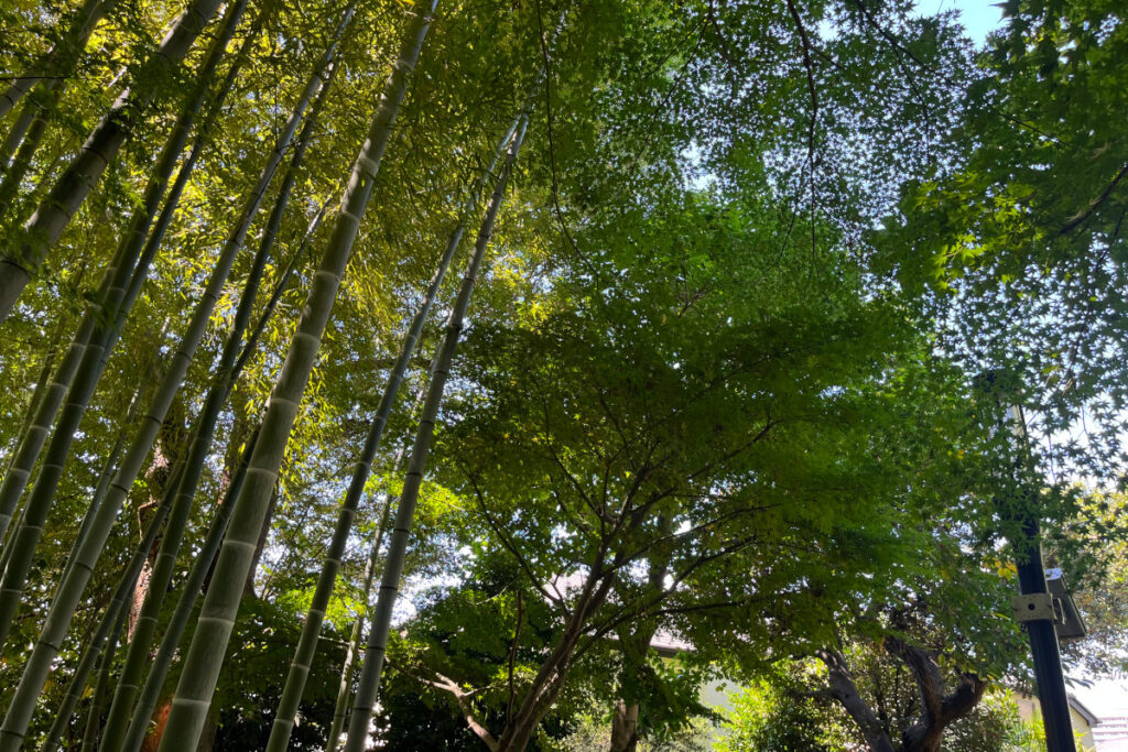 実篤公園