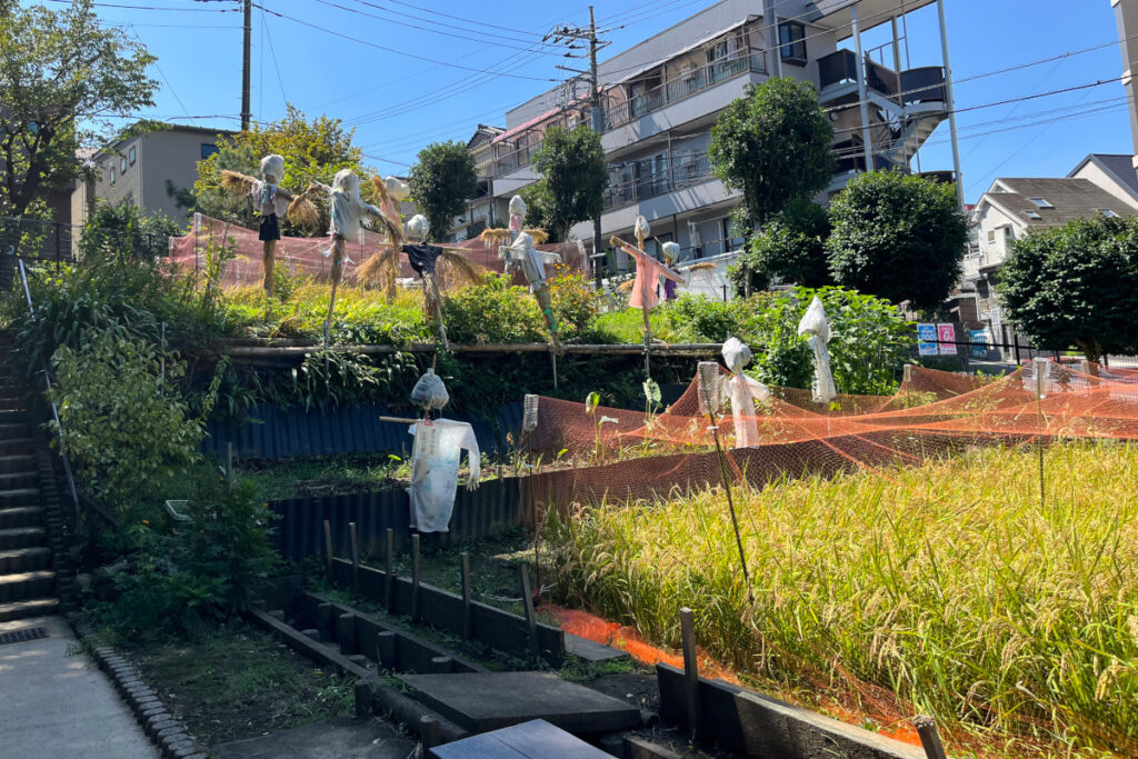 水車公園
