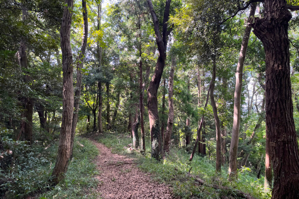 小野路