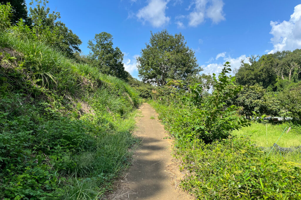 小野路