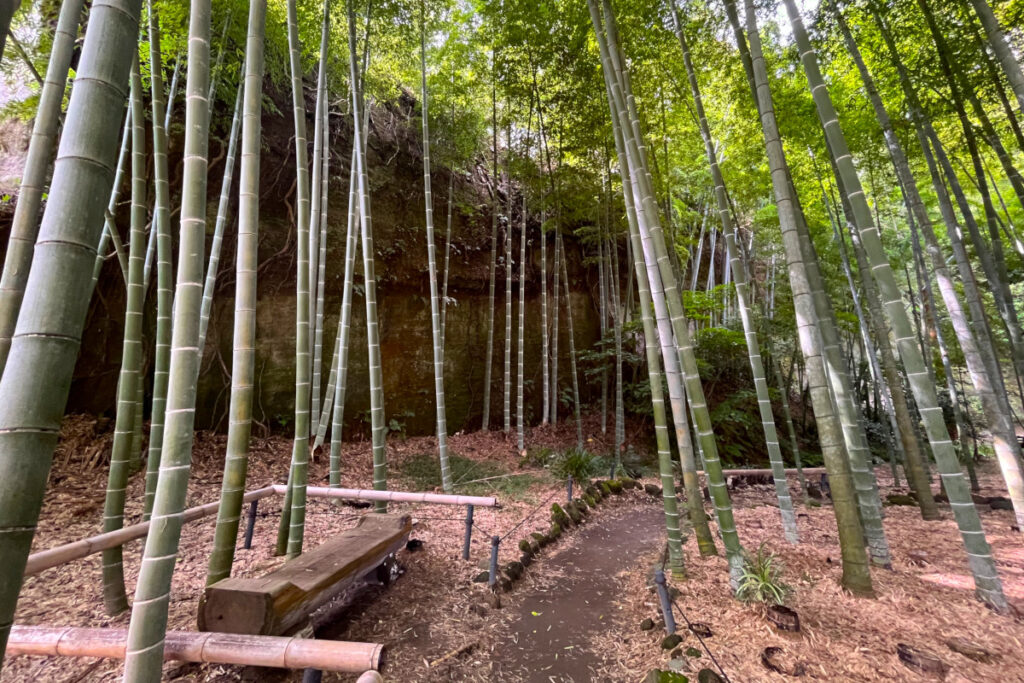 鎌倉 英勝寺