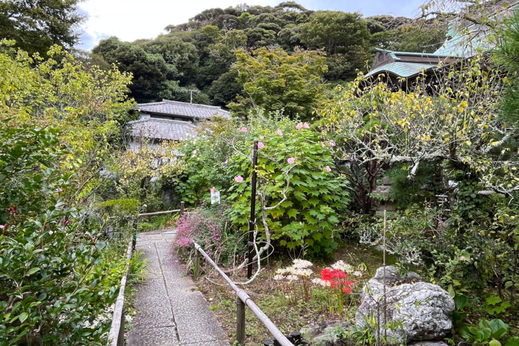 鎌倉 妙法寺