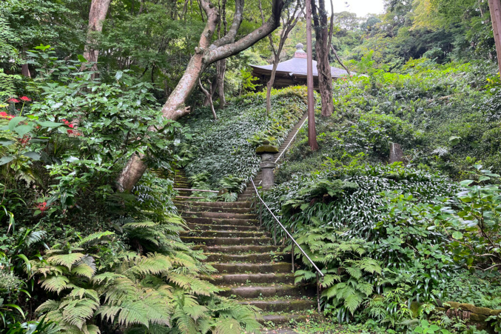 鎌倉 妙法寺