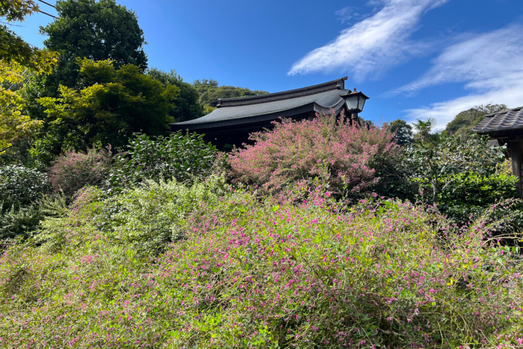 鎌倉 海蔵寺