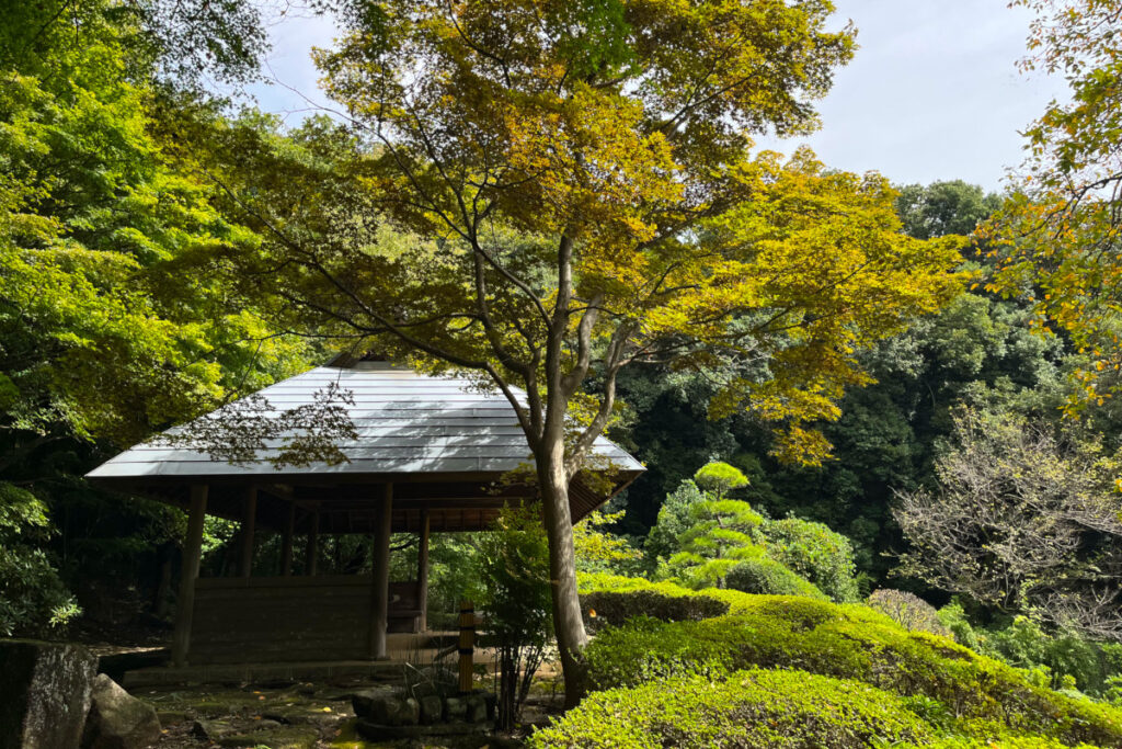 町田ぼたん園