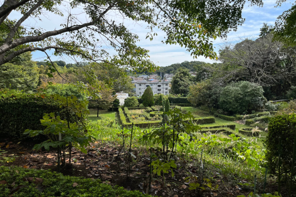 町田ぼたん園