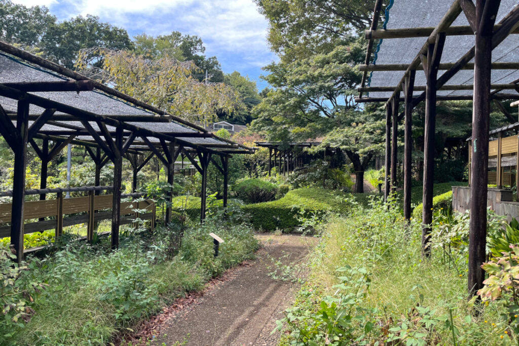 町田ぼたん園