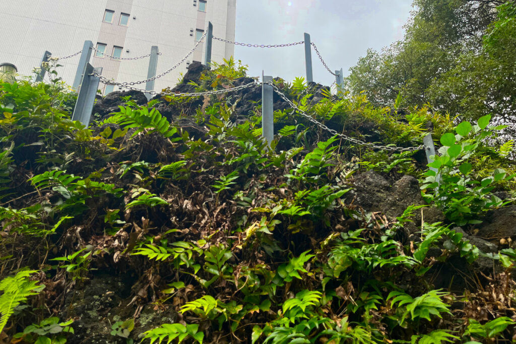 成子天神社の富士塚