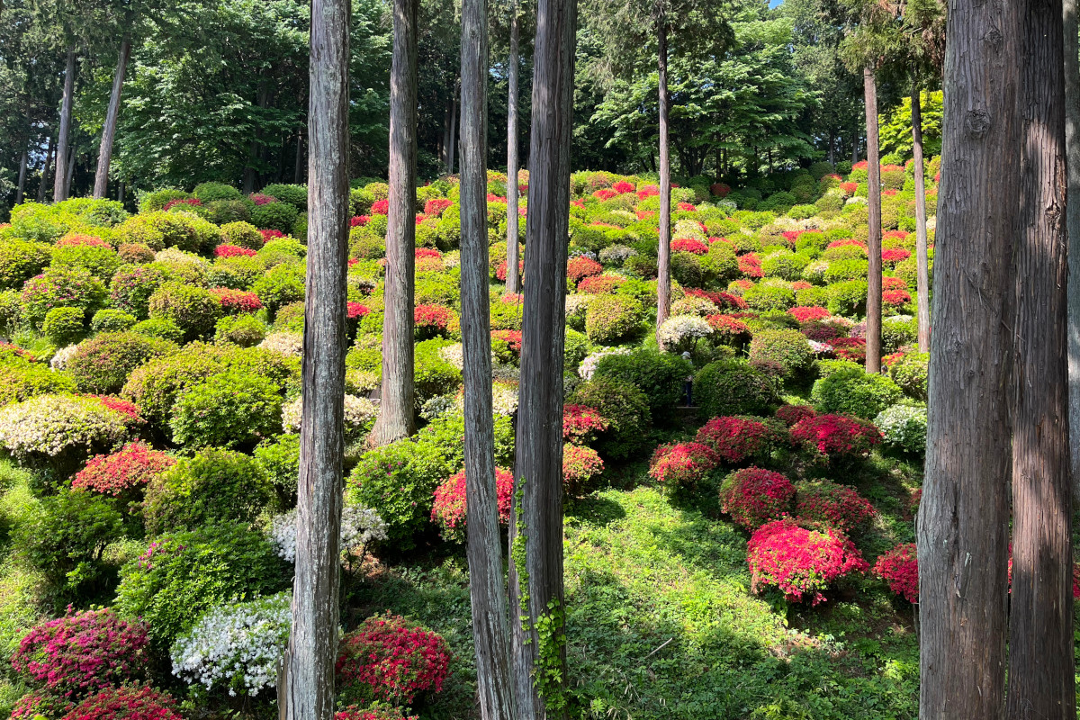 青梅市「薬王寺」
