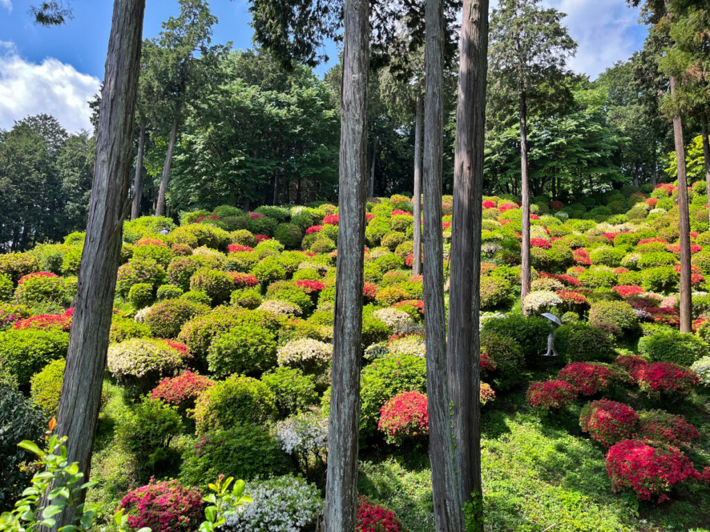 青梅市「薬王寺」