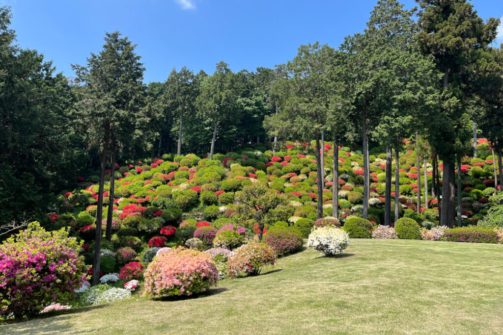 青梅市「薬王寺」