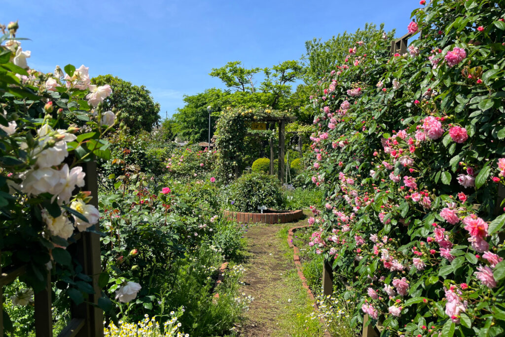 フラワーランド（瀬田農業公園）