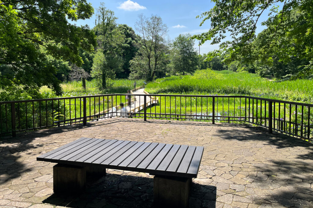 神代植物公園 水生植物園