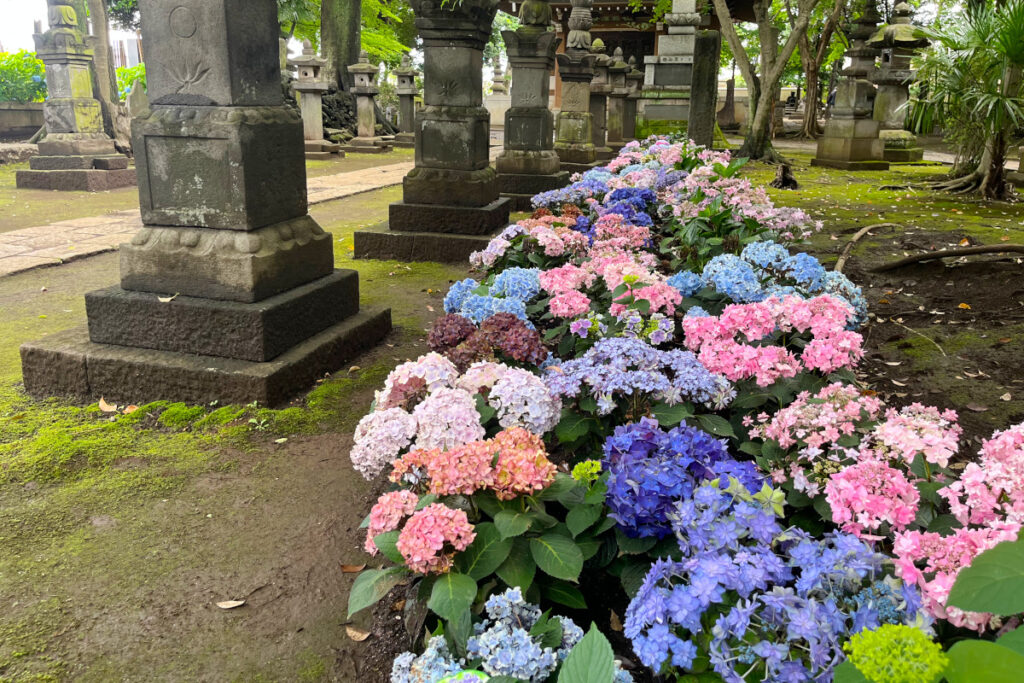 長命寺
