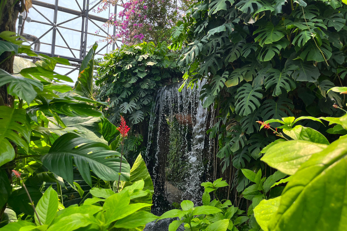 夢の島熱帯植物館